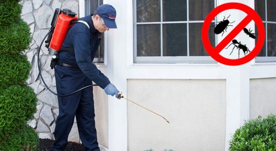 Konak Kene İlaçlama böcek ilaçlama ve haşere kontrolü — ilaclama-tr.com